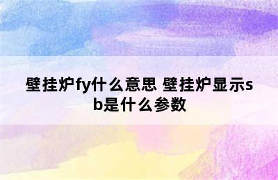 壁挂炉fy什么意思 壁挂炉显示sb是什么参数